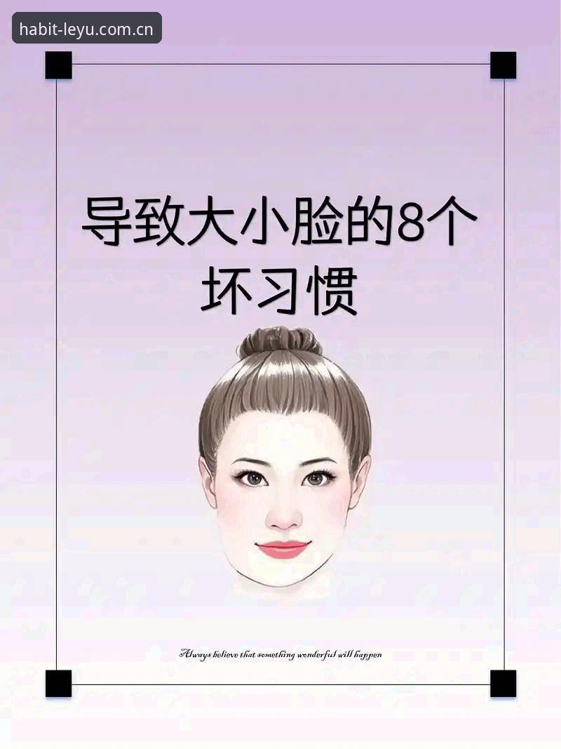 老编辑实测：每日习惯的那扇门2025版本到底值不值得换？三个维度讲清楚